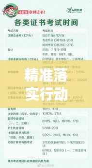 精准落实行动指南,实现有效行动的关键要素大解析