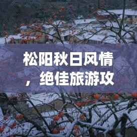 松阳秋日风情,绝佳旅游攻略尽享秋日美景