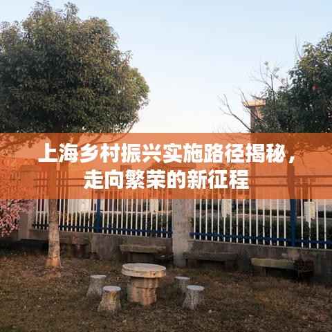 上海乡村振兴实施路径揭秘,走向繁荣的新征程
