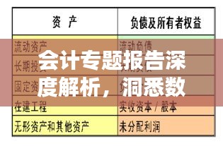 会计专题报告深度解析，洞悉数字背后的奥秘