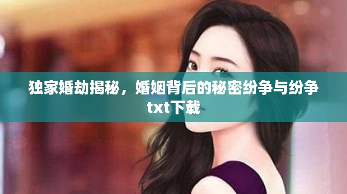 独家婚劫揭秘,婚姻背后的秘密纷争与纷争txt下载