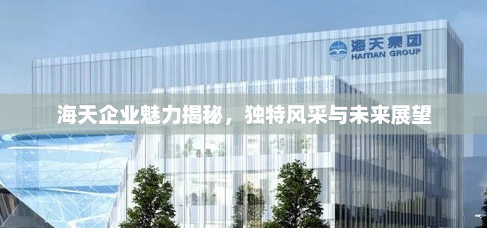 海天企业魅力揭秘，独特风采与未来展望
