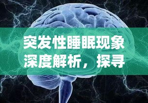 突发性睡眠现象深度解析,探寻背后的神秘面纱