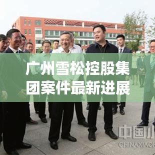 广州雪松控股集团案件最新进展深度解析