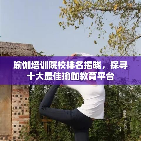 瑜伽培训院校排名揭晓,探寻十大最佳瑜伽教育平台