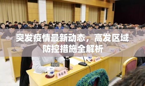 突发疫情最新动态，高发区域防控措施全解析
