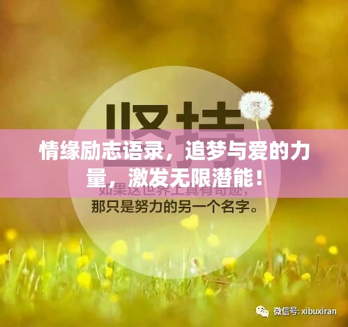 情缘励志语录，追梦与爱的力量，激发无限潜能！