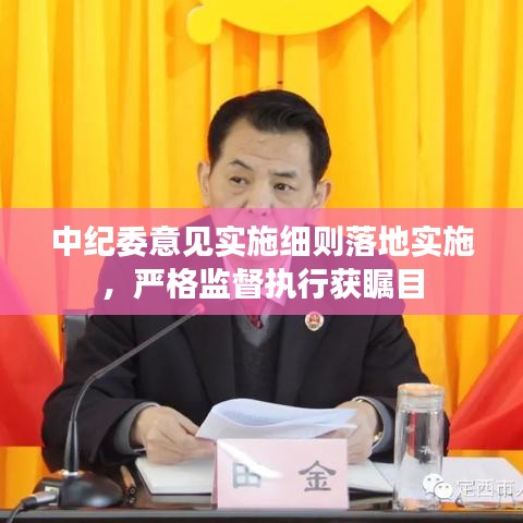 中纪委意见实施细则落地实施,严格监督执行获瞩目
