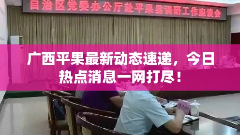 广西平果最新动态速递,今日热点消息一网打尽!