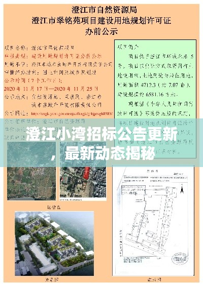 澄江小湾招标公告更新,最新动态揭秘