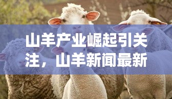 山羊产业崛起引关注,山羊新闻最新头条揭示蓬勃发展态势