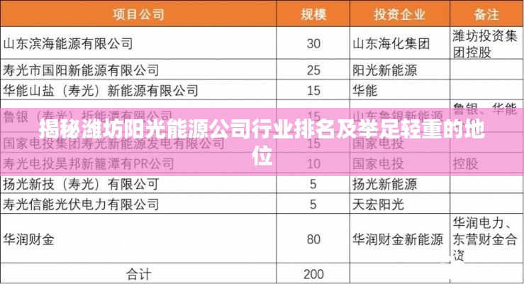 揭秘潍坊阳光能源公司行业排名及举足轻重的地位