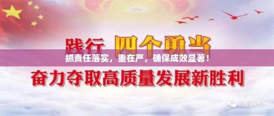 抓责任落实,重在严,确保成效显著!