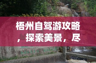 梧州自驾游攻略，探索美景，尽享自驾乐趣！