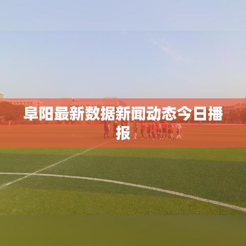 阜阳最新数据新闻动态今日播报